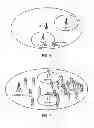 Fig. 05 - Activation of supplementary transmission unit