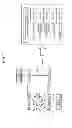 Fig. 10 - Apparatus for searching route in layer 2 network