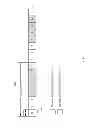 Fig. 05 - Devices and methods for facilitating discontinuous transmission on access terminals