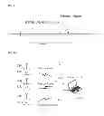 Fig. 12 - Method and apparatus for protecting a primary service in WLAN system