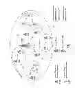 Fig. 02 - System and method for managing resources in heterogeneous network