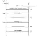 Fig. 06 - Method and apparatus for performing network reentry in wireless communication system