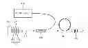 Fig. 01 - Apparatus for generating single-polarization mode-locked laser capable of energy control