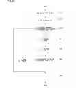 Fig. 44 - Picture decoding device with a motion compensation prediction
