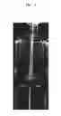 Fig. 10 - X-ray apparatus and method of obtaining X-ray image