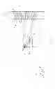 Fig. 02 - Multiple focal spot X-ray radiation filtering