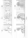 Fig. 06 - Method and system for motion detection in an image