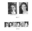 Fig. 07 - Image classification and information retrieval over wireless digital networks and the internet