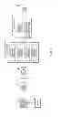 Fig. 02 - Ultrasound image processing apparatus