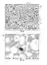 Fig. 06 - GRADED COMPOSITION FOR OPTICAL WAVEGUIDE FERRULE