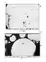 Fig. 07 - GRADED COMPOSITION FOR OPTICAL WAVEGUIDE FERRULE