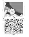 Fig. 06 - Ferrule with stress-isolation feature