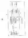 Fig. 02 - Display device for having a function of searching a divided screen, and the method for controlling the same