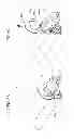 Fig. 09 - IMAGE HEATING APPARATUS