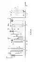 Fig. 02 - Hydraulic pump configuration for automatic transmission