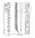 Fig. 10 - PROGRESSIVE CAVITY PUMP