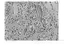 Fig. 01 - Rare earth sintered magnet and making method
