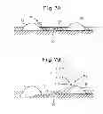 Fig. 06 - Exhaust purification system of internal combustion engine