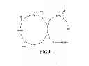 Fig. 06 - Non-thermal plasma synthesis with carbon component