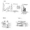 Fig. 02 - Composition and delivery vehicle for active agents and methods therefor