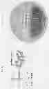 Fig. 02 - Vesicles and nanostructures from recombinant proteins