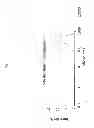 Fig. 07 - Vesicles and nanostructures from recombinant proteins