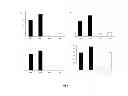 Fig. 07 - Molecules specifically binding pancreatic beta cells biomarkers