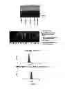 Fig. 03 - Nanoparticles carrying nucleic acid cassettes for expressing RNA