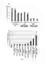 Fig. 08 - Nanoparticles carrying nucleic acid cassettes for expressing RNA
