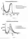 Fig. 06 - COMPOSITIONS AND METHODS FOR TEETH WHITENING
