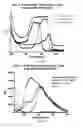 Fig. 08 - COMPOSITIONS AND METHODS FOR TEETH WHITENING