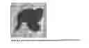Fig. 02 - BIOACTIVE ANILINE COPOLYMERS