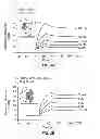 Fig. 05 - STRUCTURAL BASED DESIGN OF IL-17 DOMINANT NEGATIVE MUTANTS