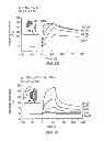 Fig. 07 - STRUCTURAL BASED DESIGN OF IL-17 DOMINANT NEGATIVE MUTANTS