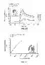 Fig. 08 - STRUCTURAL BASED DESIGN OF IL-17 DOMINANT NEGATIVE MUTANTS