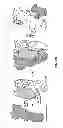 Fig. 11 - STRUCTURAL BASED DESIGN OF IL-17 DOMINANT NEGATIVE MUTANTS