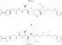 Fig. 141 - MODULATORS OF PHARMACOKINETIC PROPERTIES OF THERAPEUTICS