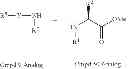 Fig. 170 - MODULATORS OF PHARMACOKINETIC PROPERTIES OF THERAPEUTICS