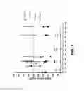 Fig. 08 - Compositions and methods for treating endocrine, gastrointestinal or autoimmune disorders