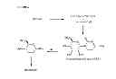 Fig. 07 - STREPTOMYCES MICROFLAVUS STRAINS AND METHODS OF THEIR USE TO CONTROL PLANT DISEASES AND PESTS