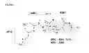 Fig. 08 - STREPTOMYCES MICROFLAVUS STRAINS AND METHODS OF THEIR USE TO CONTROL PLANT DISEASES AND PESTS
