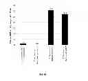Fig. 10 - Polycistronic expression system for bacteria