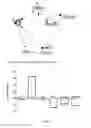 Fig. 04 - BLOCKAGE OF PAI-1 IN DIABETIC CD34+ STEM CELLS CORRECTS CELLULAR DYSFUNCTION