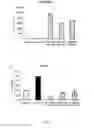Fig. 09 - BLOCKAGE OF PAI-1 IN DIABETIC CD34+ STEM CELLS CORRECTS CELLULAR DYSFUNCTION