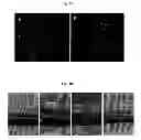 Fig. 08 - Method for treating vascular-related disease