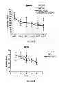 Fig. 03 - Use Of Mesenchymal Stem Cells For The Improvement Of Affective And Cognitive Function