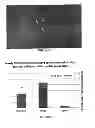 Fig. 04 - Use Of Mesenchymal Stem Cells For The Improvement Of Affective And Cognitive Function