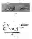 Fig. 05 - Use Of Mesenchymal Stem Cells For The Improvement Of Affective And Cognitive Function