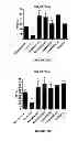 Fig. 09 - Use Of Mesenchymal Stem Cells For The Improvement Of Affective And Cognitive Function