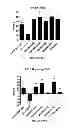 Fig. 10 - Use Of Mesenchymal Stem Cells For The Improvement Of Affective And Cognitive Function
